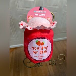 Beautiful FuzzYard My Jam 💕 8.8” Dog Toy Squeaker  New